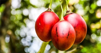 Wanna Try Foods Starting With T