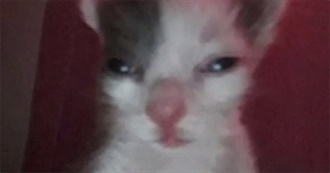 Enj&#39;s Favorite Movies