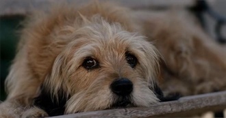 400 Movies That Should Be Added to the National Film Registry