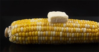 What David Ate - Day 105