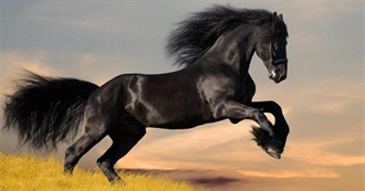30 Best Horse Movies - Horsechannel.com
