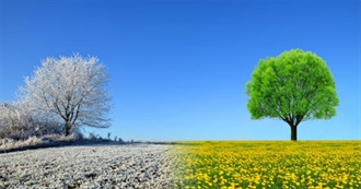 Winter &amp; Summer Reads