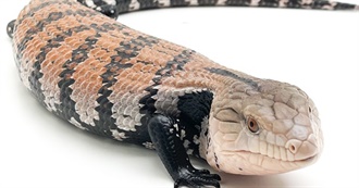 Morgan&#39;s Top 100 Movies