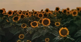 Top TV Shows for Natalie