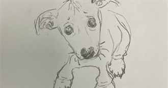 Peachor&#39;s Top 100 Movies Probably