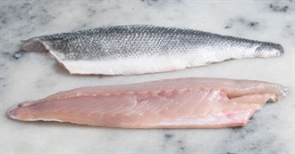 What Ray Ate - Day 811