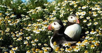 Bruna&#39;s Ever Changing Favorite Movies List