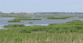 Important Bird Areas: Central Mixed-Grass Prairie