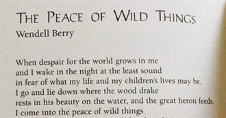 2017 Book Challenge - Covering Each Genre