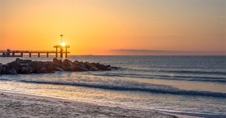 Foods to Eat in July (Central Europe)