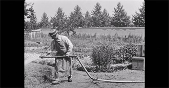 Rosie&#39;s Movies From the 1890s