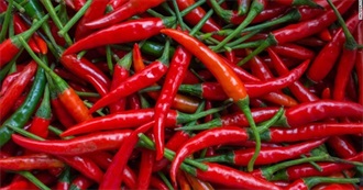 Hot and Spicy Foods From All Over the World