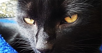 Sallie&#39;s Travel Bucket List