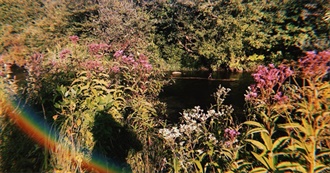 Michigan Has a Lot to See