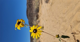 Books Bo Read in 2023