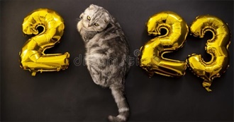 Ladycalico&#39;s 2023 TBR