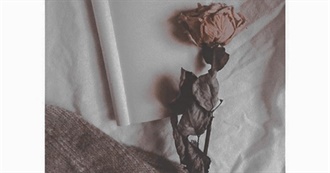 Simone&#39;s Tiny Cozy Shelf