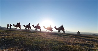 Lou&#39;s Pandemic Travels