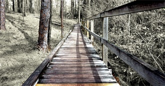 101 Must-See Drama Films