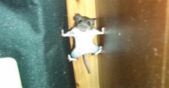 Tumblr User Jctko&#39;s Favourite Books (Extra Hard Edition)