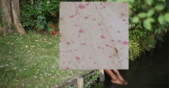 Letterboxd Showdown: Free Radicals