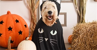 Movies to Watch This Halloween Season: Part 9