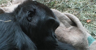 Shizuku&#39;s Formative Books