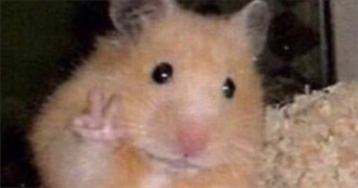 M&#39;s Top 100 Books