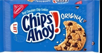 Foods Matt Had Today