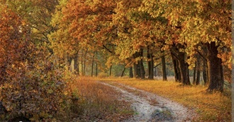 Movies Kristibahena Saw in September October November and December