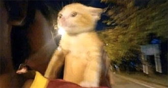 Emily&#39;s Favorite Video Games