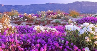 My Favorite Places in the World