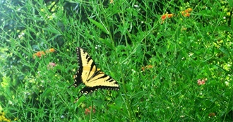 Lesser Known Travel Destinations