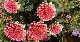 Kirsten's TBR for 2026