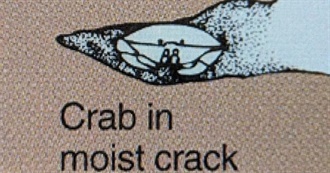 Spike Moovies Top 100