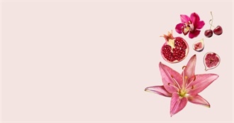 Trin&#39;s Horror Movies