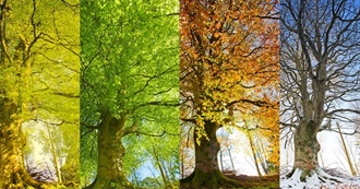 The Year of Reading Randomly