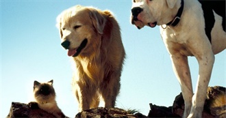 Last 10 Movies Atif Watched Vol.40