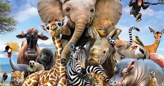 Animals Ylenia Has Seen in the Wild So Far (2020)