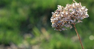 Favorite Books of Past &amp; Present