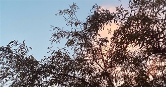 50 of Olivia&#39;s Favorite Artists/Bands