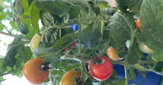 Q2: Books Read in 2024 by Fosuan