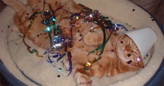 Aqua&#39;s Beloved Movies