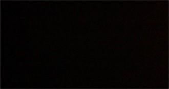 Foods Musiclover233 Ate in October 2022