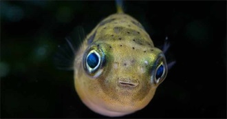 Leon&#39;s Favorite Animals, Part 2