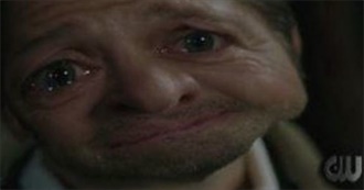 Fawn&#39;s 69 Top Movies