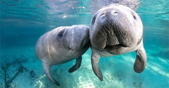 60 Things We Did in Florida (January 2020)