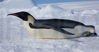 &quot;Everybody Has an &#39;E&quot;