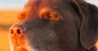 Esther&#39;s Top Movies