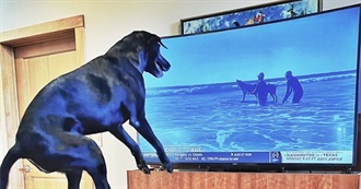 Collins&#39; 11 Favorite Films